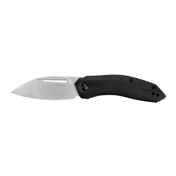 Kershaw Turismo Folding Knife 2-9/10" Leaf Blade Black - Precision Shot Firearms