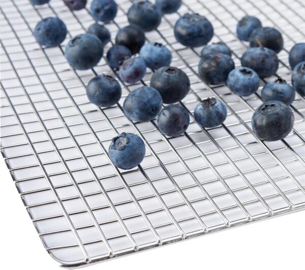 LEM Products Big Bite Digital Stainless Steel 10-Tray Dehydrator - Precision Shot Firearms
