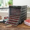LEM MightyBite 10-Tray Plastic Dehydrator - Precision Shot Firearms