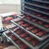 LEM MightyBite 10-Tray Plastic Dehydrator - Precision Shot Firearms
