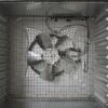 LEM BigBite 10-Tray Stainless Steel Dehydrator - Precision Shot Firearms