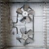 LEM BigBite 16-Tray Stainless Steel Dehydrator - Precision Shot Firearms