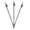 Carbon Express Maxima Sable RZ 500 Hunting Arrows - 12/pk - Precision Shot Firearms