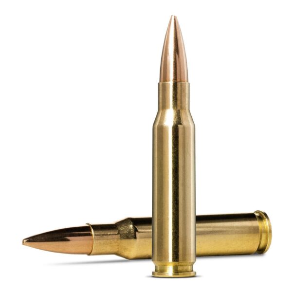 Norma Golden Target Match Rifle Ammunition .223 Rem 77gr HPBT 2674 fps 20/ct - Precision Shot Firearms