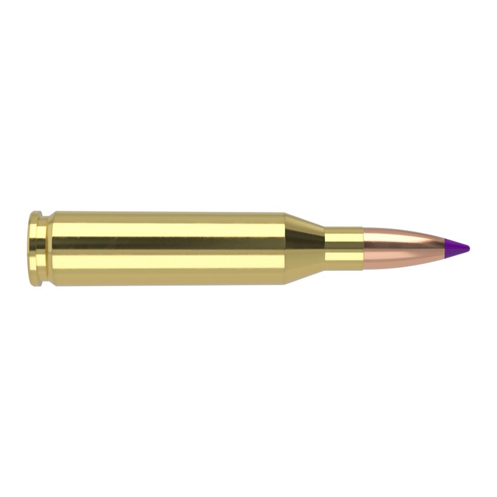 Nosler Ballistic Tip Varmint Rifle Ammunition .243 Win 70gr BT SP 3500 fps 20/ct - Precision Shot Firearms