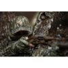 Nomad Assault Camo Trucker Hat Mossy Oak Bottomland - Precision Shot Firearms