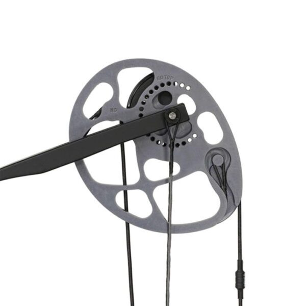 Diamond Archery Prism Bow RH Black - Precision Shot Firearms