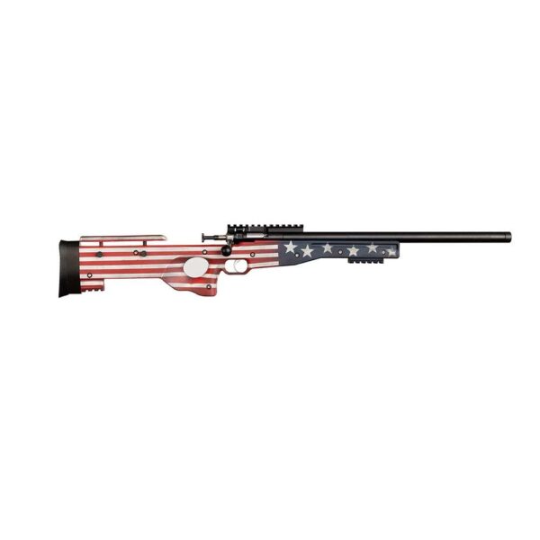 Crickett Precision Old Glory Rifle .22 LR Single Shot 16.1 Blued Barrel Precision Stock - Precision Shot Firearms