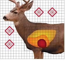 Pro-Shot Mule Deer Sight In Target 25" x 25" 5/ct - Precision Shot Firearms