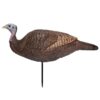 Primos Lil Gobstopper Hen Decoy - Precision Shot Firearms