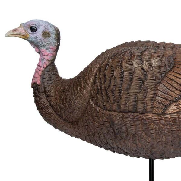 Primos Lil Gobstopper Hen Decoy - Precision Shot Firearms