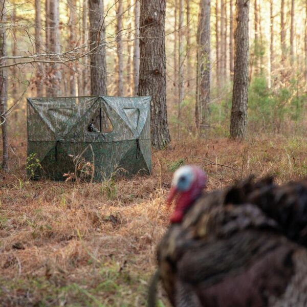 Primos Double Bull Stakeout Blind - Mossy Oak Greenleaf - Precision Shot Firearms