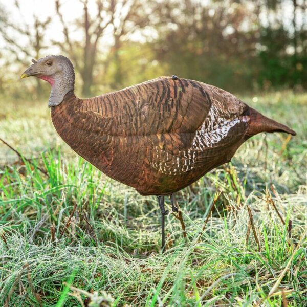 Primos Photoform Leading Hen Turkey Decoy - Precision Shot Firearms