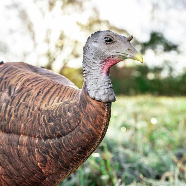 Primos Photoform Leading Hen Turkey Decoy - Precision Shot Firearms