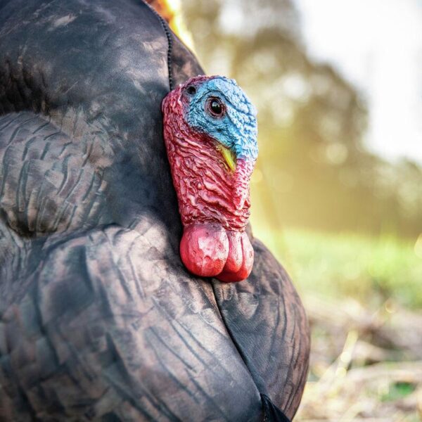 Primos Photoform Strutter Turkey Decoy - Precision Shot Firearms