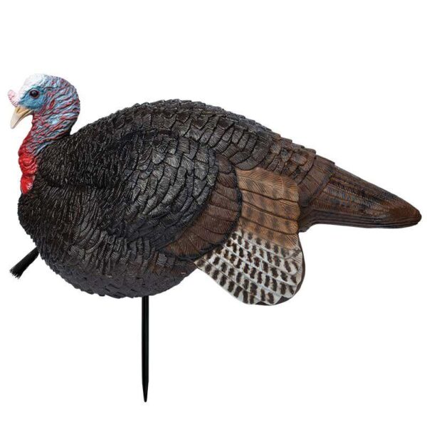 Primos Lil Gobstopper Jake Turkey Decoy - Precision Shot Firearms