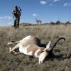 Montana Decoy Co Antelope Buck Decoy - Precision Shot Firearms