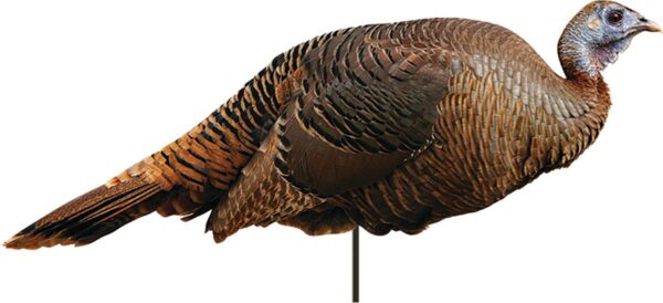 Montana Decoy Co Spring Fling Hen Decoy - Precision Shot Firearms
