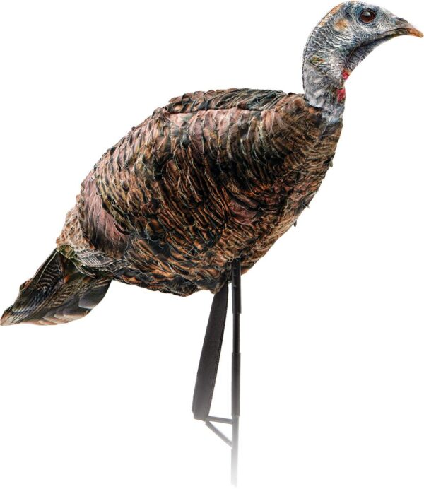 Montana Decoy Co Miss Purrfect XD Turkey Hen Decoy - Precision Shot Firearms