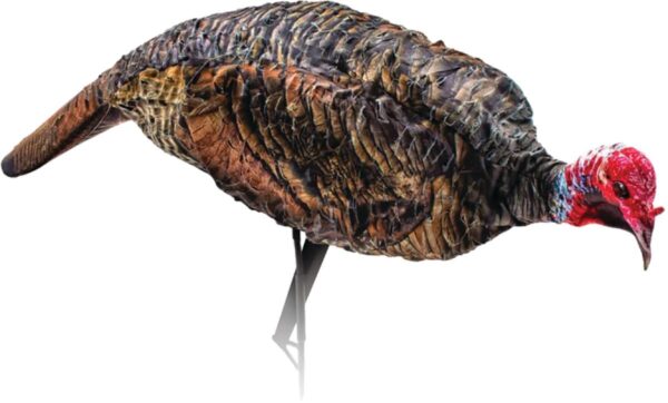 Montana DecoyCo PurrFect Pair XD Turkey Combo - Precision Shot Firearms