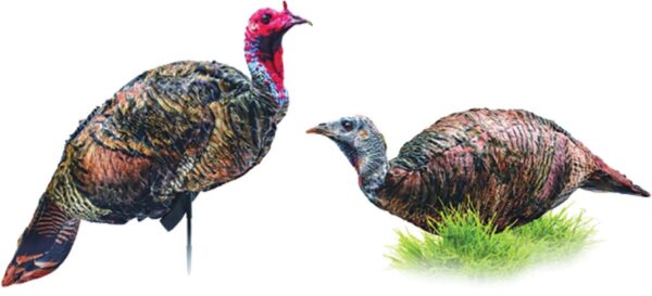 Montana DecoyCo PurrFect Pair XD Turkey Combo - Precision Shot Firearms