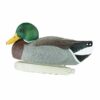 Cupped Finishing Mallard Duck Decoys 12/ct - Precision Shot Firearms