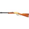 Rossi Rio Bravo Lever Action Rifle 22 LR 15rd Capacity 18" Barrel Gold Finish/Hardwood Stock - Precision Shot Firearms
