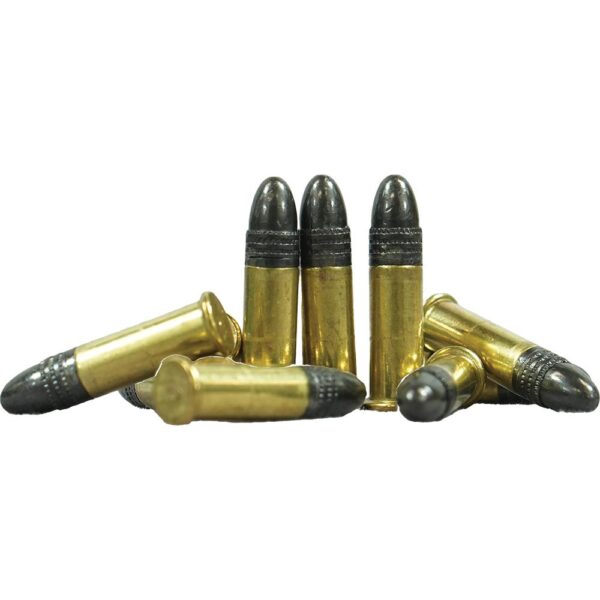 Remington Standard Velocity Rimfire Ammunition .22LR 36gr LRN 1080 fps 550/ct - Precision Shot Firearms
