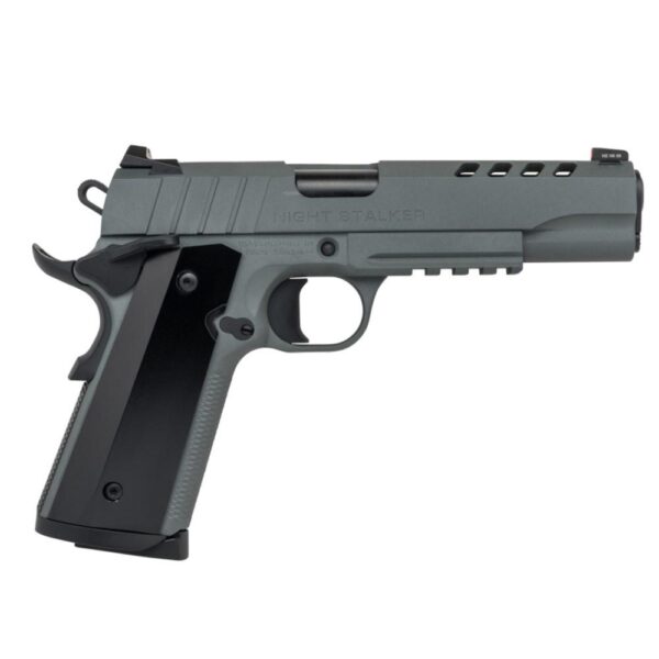 SDS Imports Tisas 1911 Night Stalker Handgun 45 ACP 8rd Magazines (2) 5" Barrel Grey with Black Grips - Precision Shot Firearms
