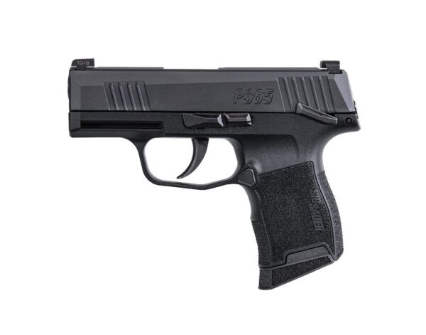P365 380ACP BLK 10+1 NS SFTY, W365-380-BSS-MS