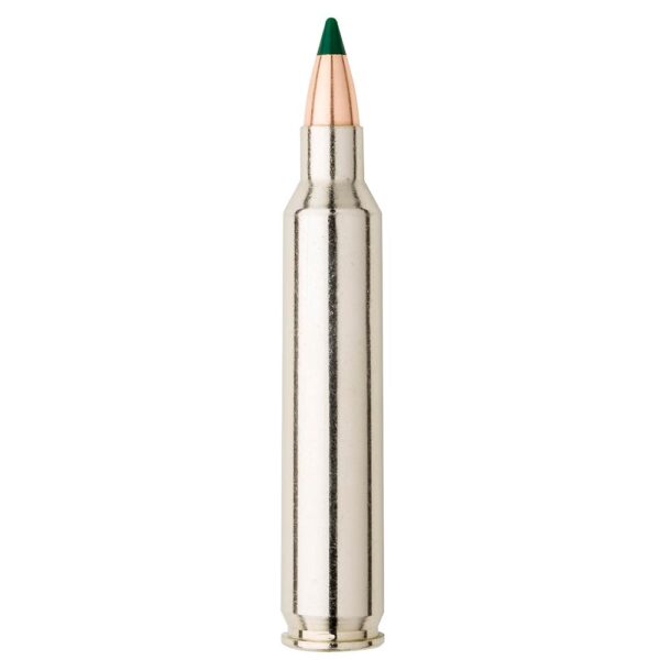 Sierra Ammo 223 Remington 55 GR BlitzKing 20 rounds - Precision Shot Firearms