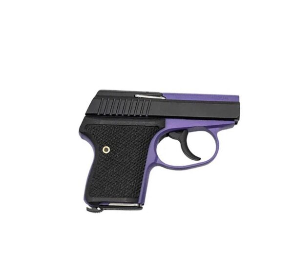 Seecamp LWS-380 Handgun 380 Auto 6rd Magazine 2" Barrel DAO Bright Purple Frame Black Grip - Precision Shot Firearms