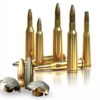 Sellier & Bellot Rifle Ammunition .30-06 Sprg 180 gr SPCE - 20/box - Precision Shot Firearms