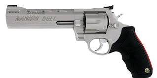 RAGING BULL 44MAG SS 6.5" 6SH, 2-444069