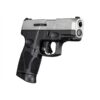 Taurus G3c Stainless Steel 9mm Luger Compact 12rd 3.2" Barrel - Precision Shot Firearms