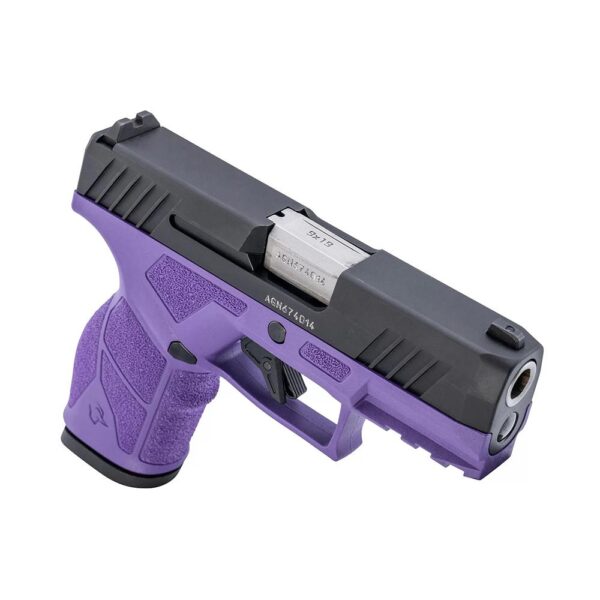 Taurus GX2 Handgun 9mm Luger 13rd Magazines (2) 3.38" Barrel Dark Purple Frame/Black Slide - Precision Shot Firearms