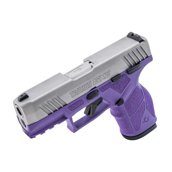 Taurus GX2 Handgun 9mm Luger 13rd Magazines (2) 3.38" Barrel Dark Purple Frame/Stainless Slide - Precision Shot Firearms