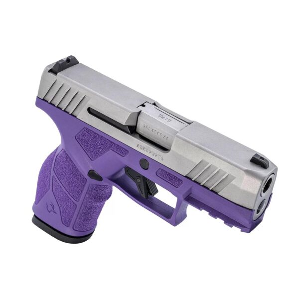 Taurus GX2 Handgun 9mm Luger 13rd Magazines (2) 3.38" Barrel Dark Purple Frame/Stainless Slide - Precision Shot Firearms