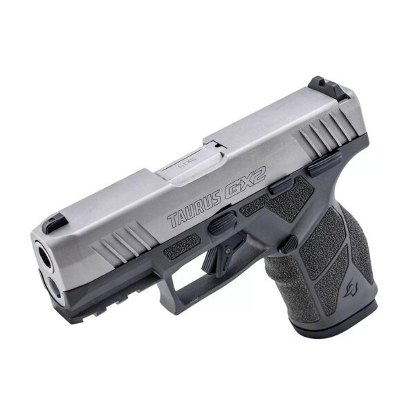 Taurus GX2 Handgun 9mm Luger 10rd Magazines (2) 3.38" Barrel Gray Frame/Stainless Slide - Precision Shot Firearms