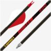 Gold Tip Hunter 340 2in Raptor Vanes - 1/2dz - Precision Shot Firearms