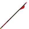 Gold Tip Hunter Hunting Arrows 400 Spine 2" Rapt-X Vanes 6/ct - Precision Shot Firearms