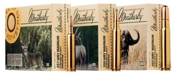 Weatherby Rifle Ammunition 7mm Wby Mag 160 gr PT 3200 fps - 20/box - Precision Shot Firearms