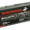 WIN BLSTC TIP 243WSSM 95GR 20/200, SKU WNSBST243SSA