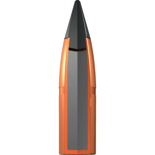 Winchester Deer Season XP Rifle Ammunition .300 WSM 180gr PT 2900 fps 20/ct - Precision Shot Firearms
