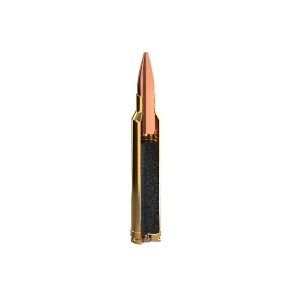 Sig Sauer Elite Hunting Rifle Ammunition .300 Win Mag 165 gr HP 20/ct - Precision Shot Firearms