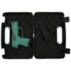 Sig Sauer "Gun & Roses-Robin's Egg Blue" P365 Optic Ready Handgun 9mm Luger 10rd Magazines(2) 3.1" Barrel X-RAY 3 Sights - Precision Shot Firearms