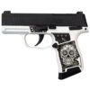 Sig Sauer Exclusive "Sugar Skull" P365 Optic Ready Handgun 9mm Luger 10rd Magazines(2) 3.1" Barrel X-RAY 3 Sights Manual Safety - Precision Shot Firearms