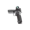 Sig Sauer P320-Max SXG Handgun 9mm Luger 10rd Magazines(4) 5" Barrel Romeo3 Max 6 MOA - Precision Shot Firearms