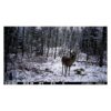 Spypoint FORCE-24 Non-Cellular Trail Camera - Precision Shot Firearms
