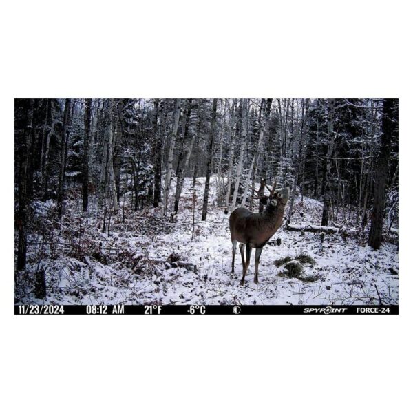 Spypoint FORCE-24 Non-Cellular Trail Camera - Precision Shot Firearms